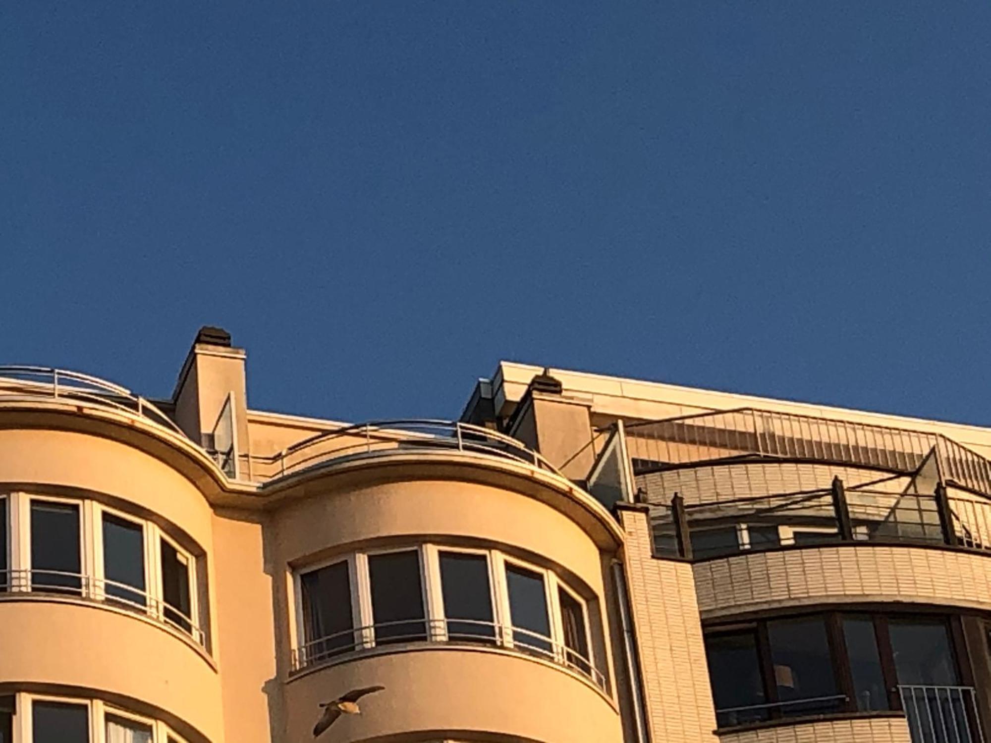 El Mirador Penthouse Paris Apartment Ostend Exterior photo